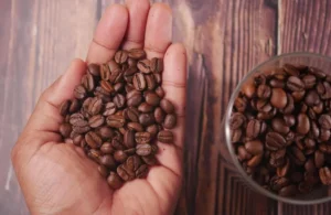 مركب طبيعي في القهوة يحمينا من التهابات اللثة